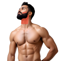 Contorno de Barba